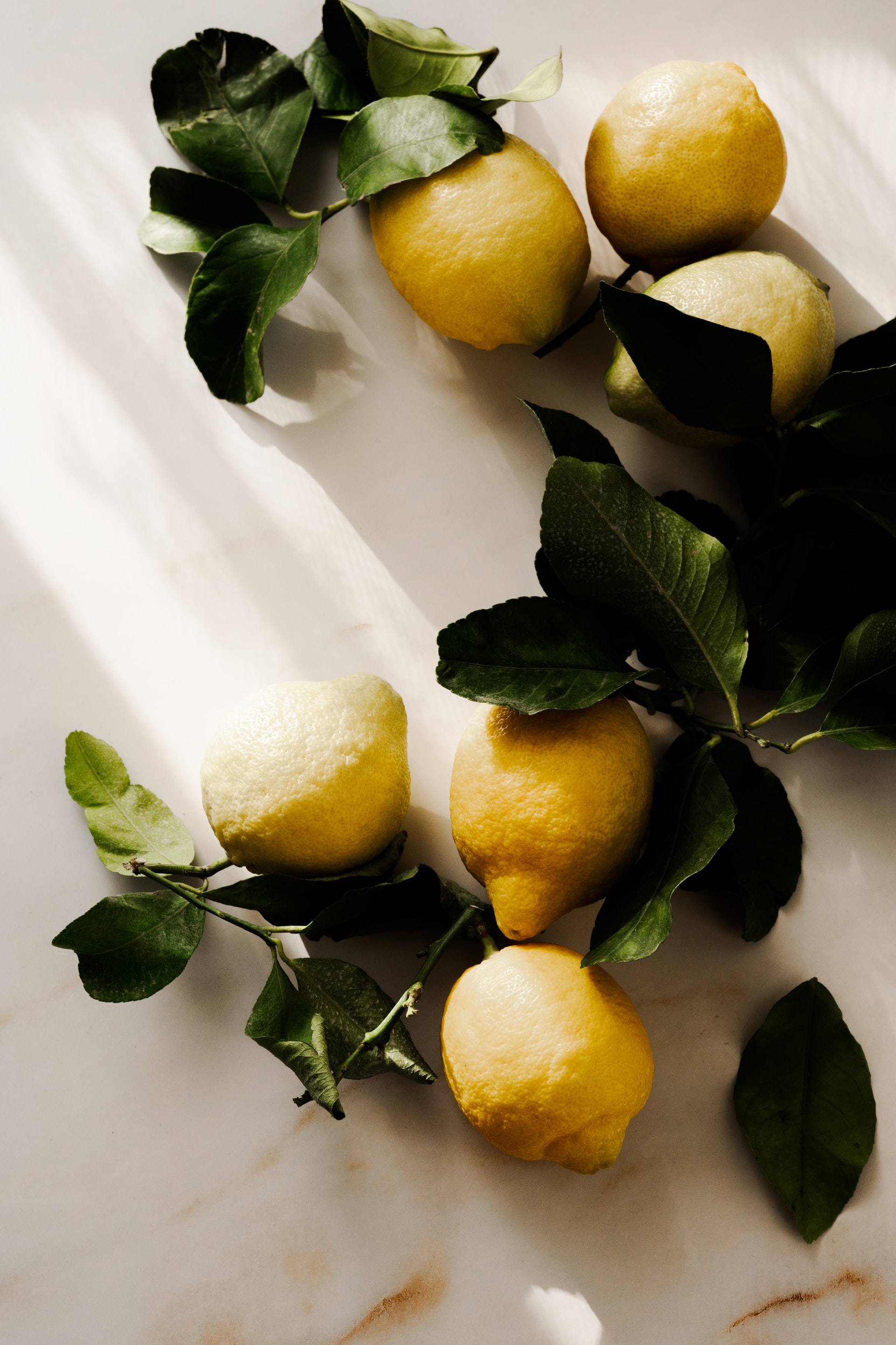 monika-grabkowska-dtq_NLadQ08-unsplash (1).jpg